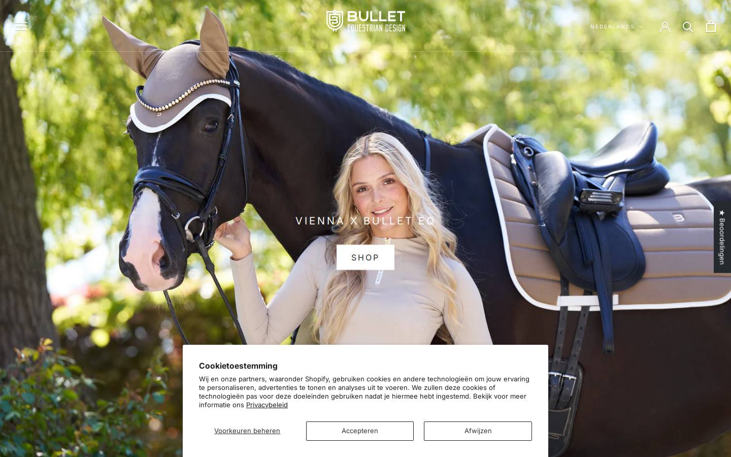 bulletequestriandesign.com homepage screenshot