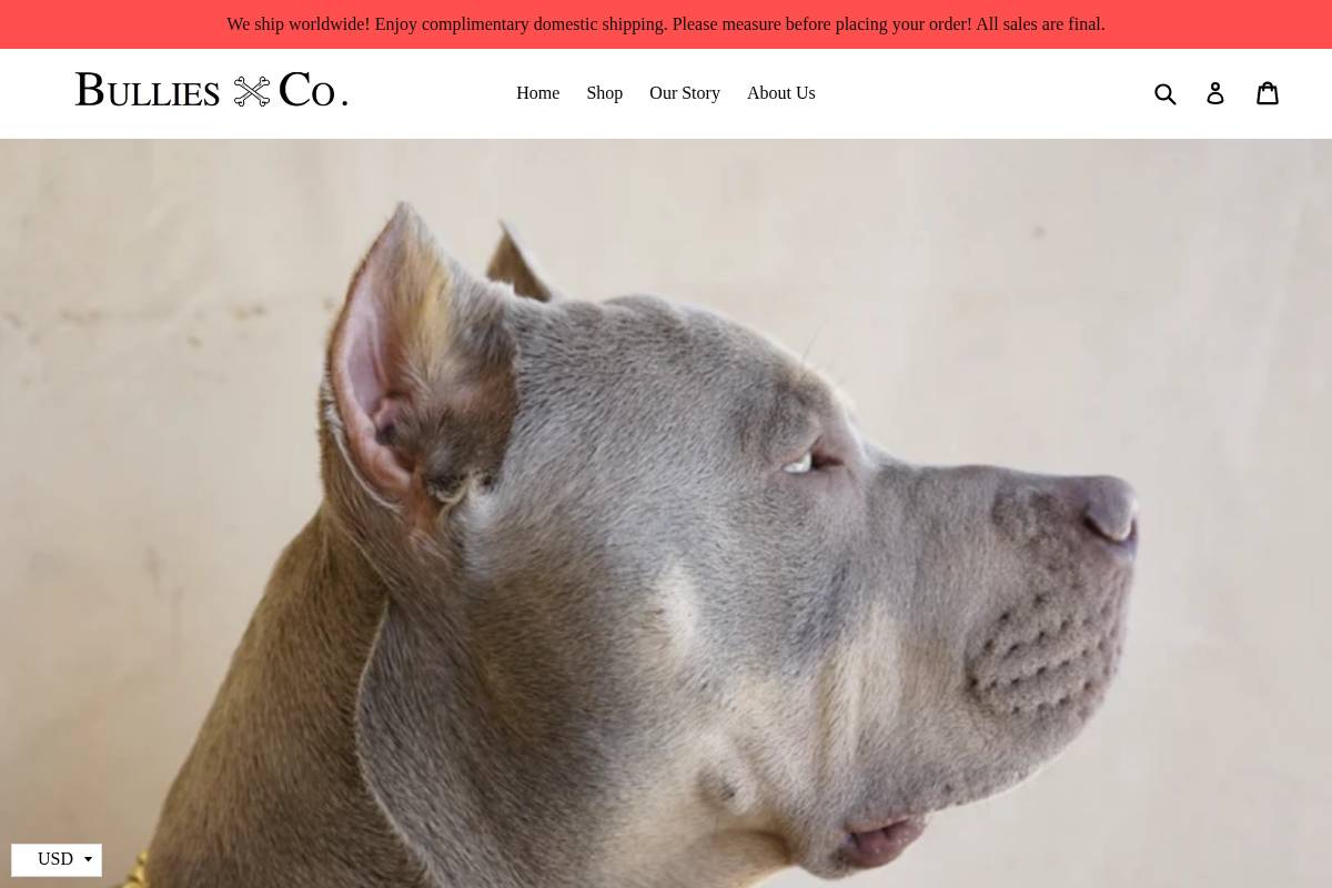 bulliesandco.com homepage screenshot