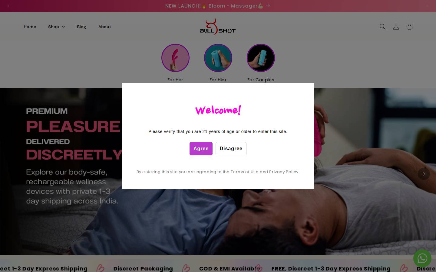 Bullshot homepage screenshot