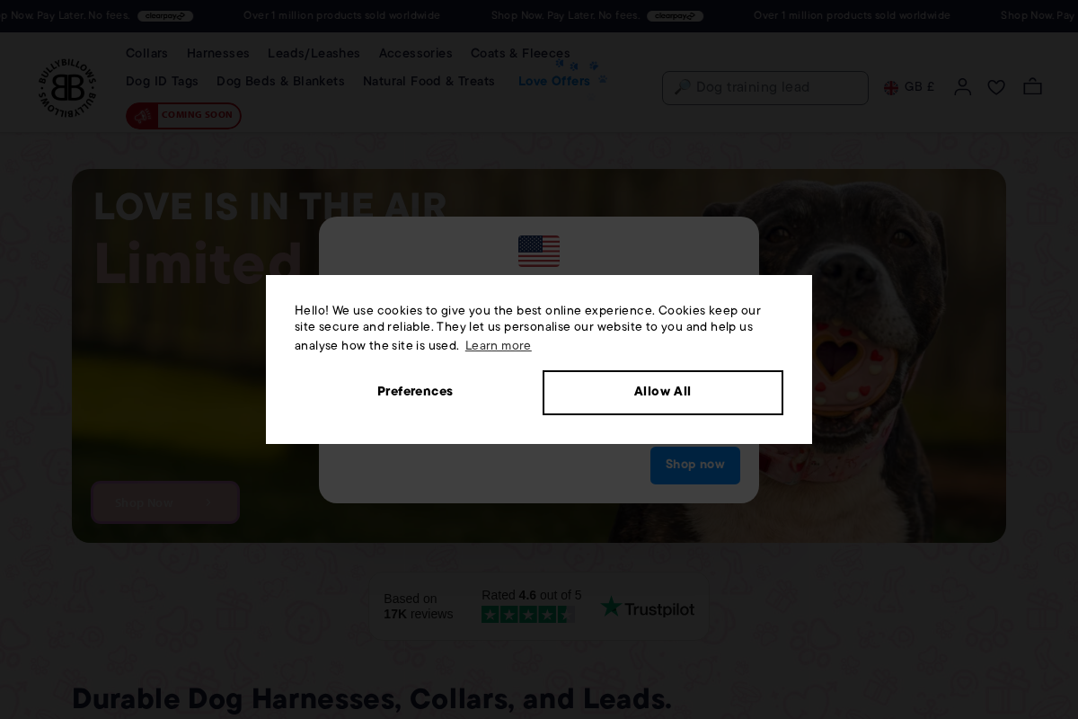 BullyBillows homepage screenshot