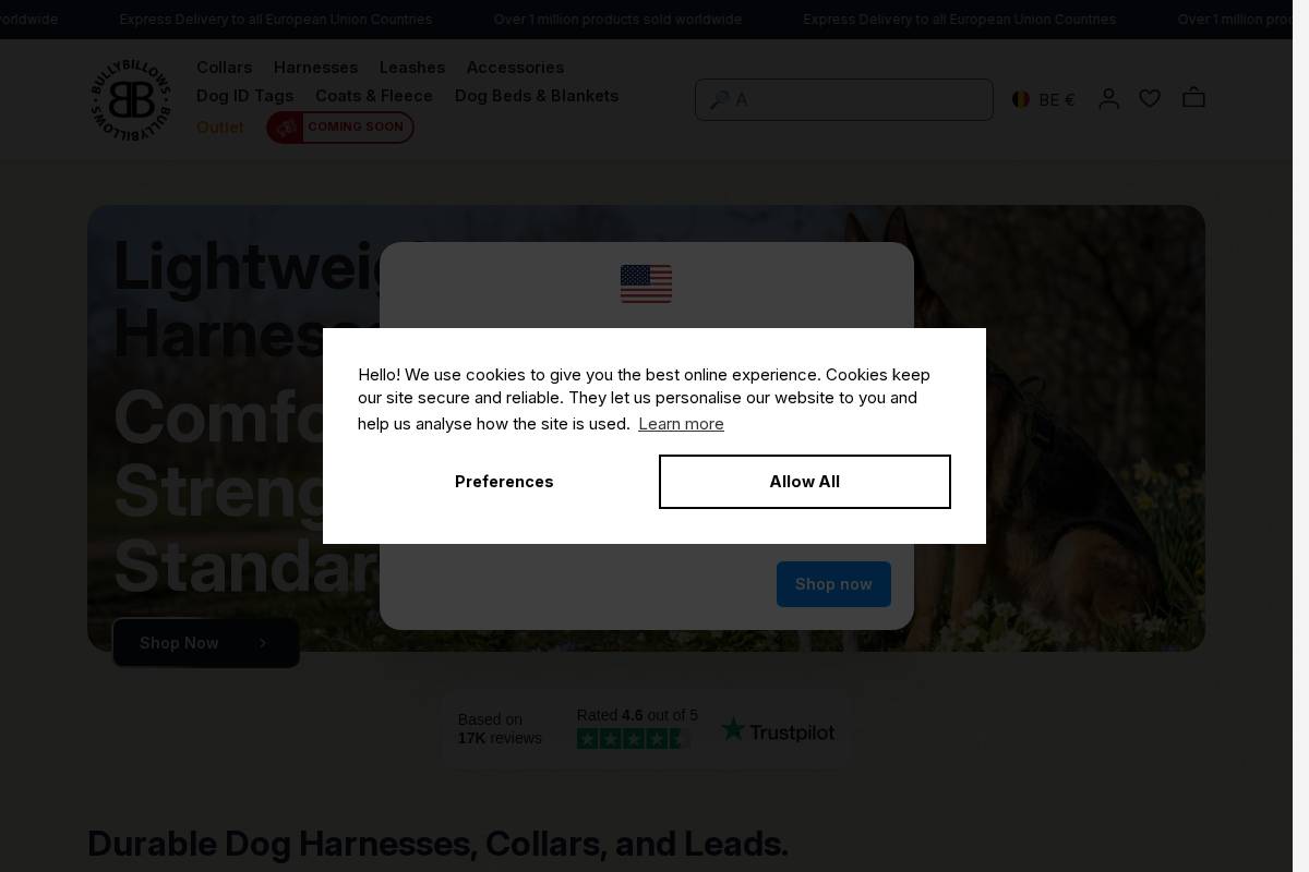 Bullybillows homepage screenshot