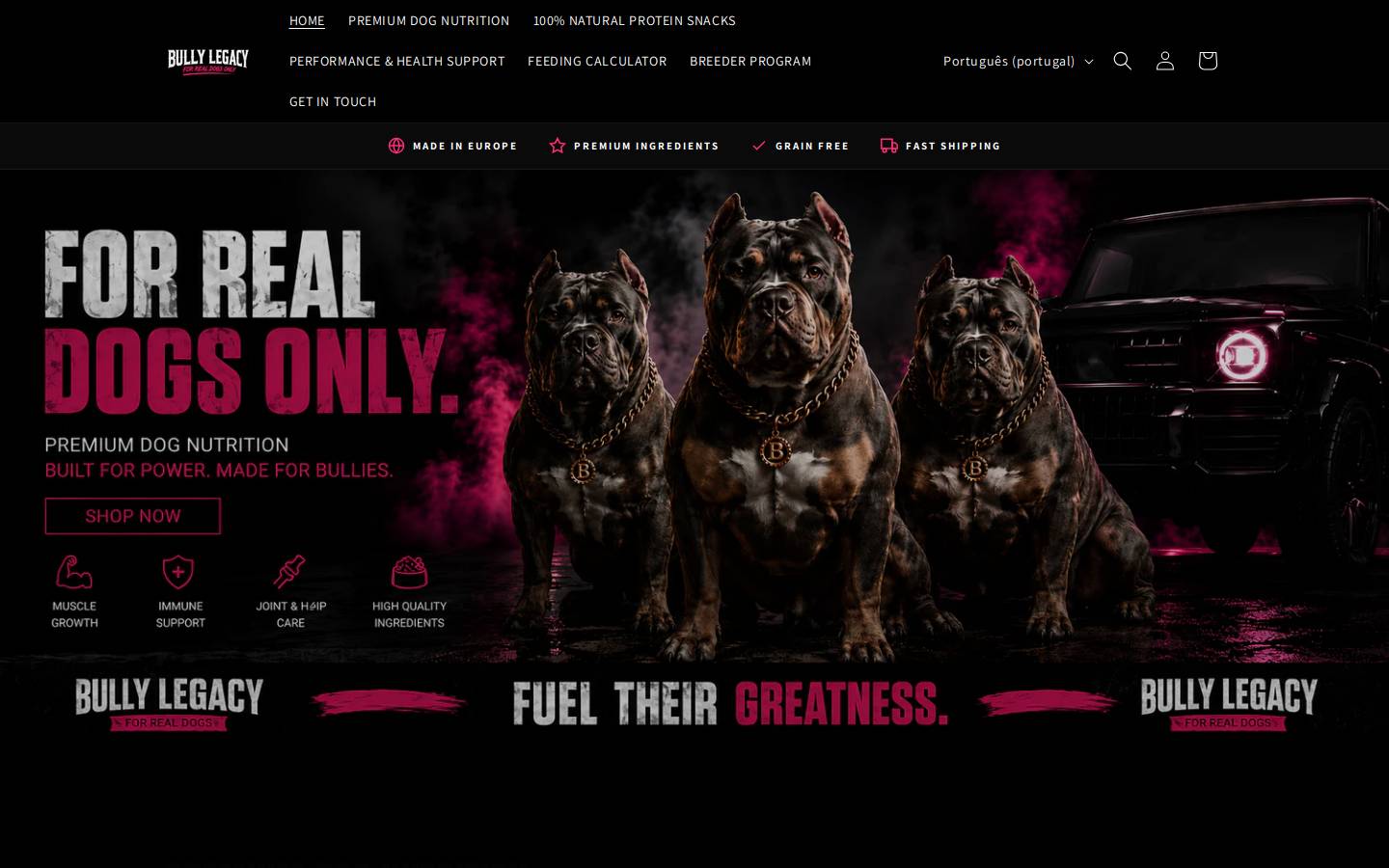 bullylegacyofficial.com homepage screenshot