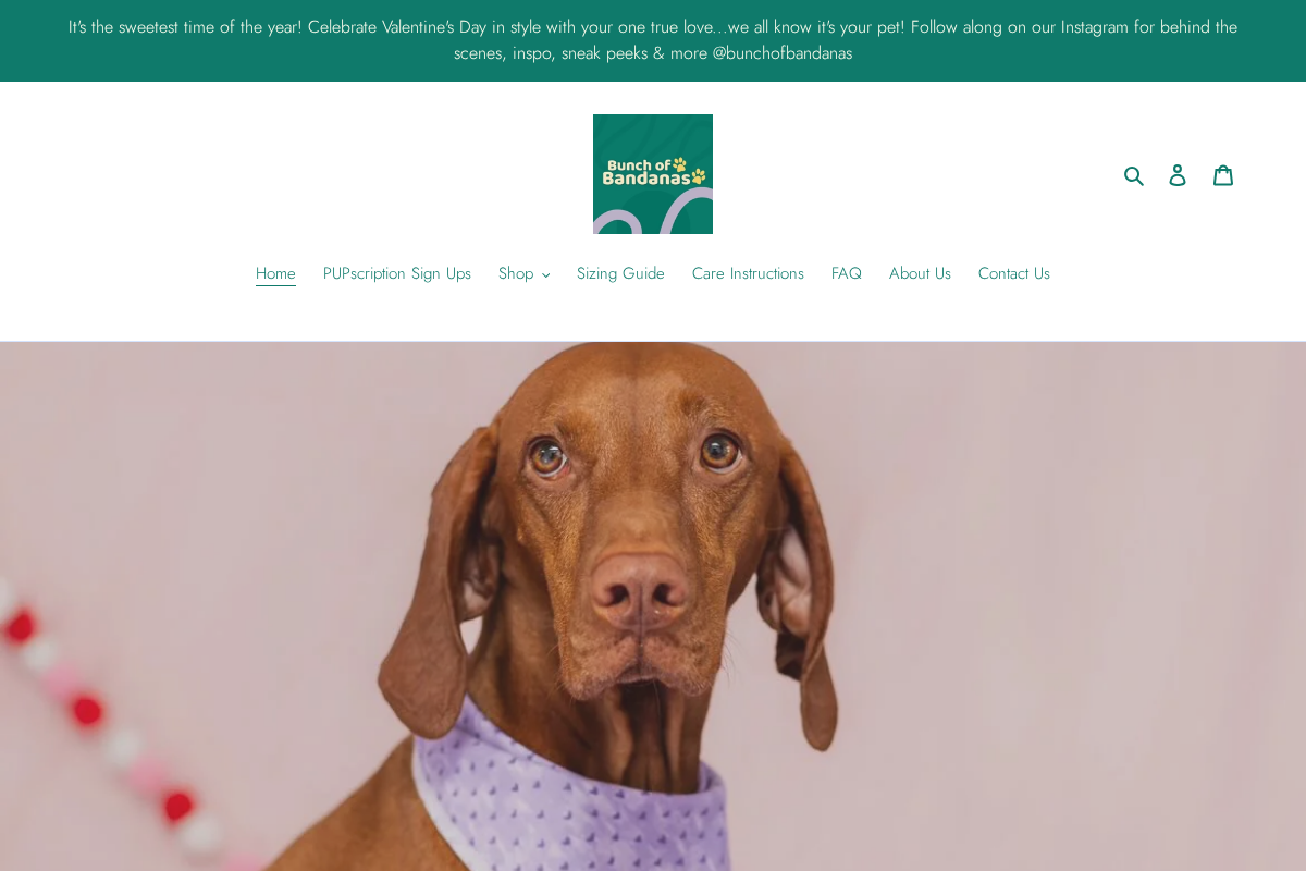 Bunch of Bandanas homepage screenshot