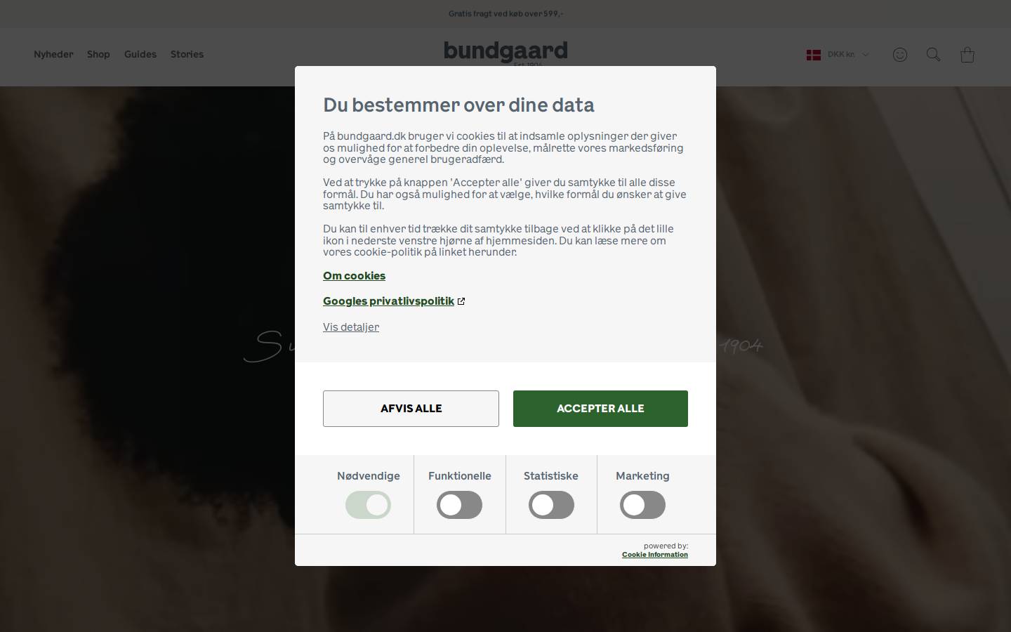 Bundgaard homepage screenshot