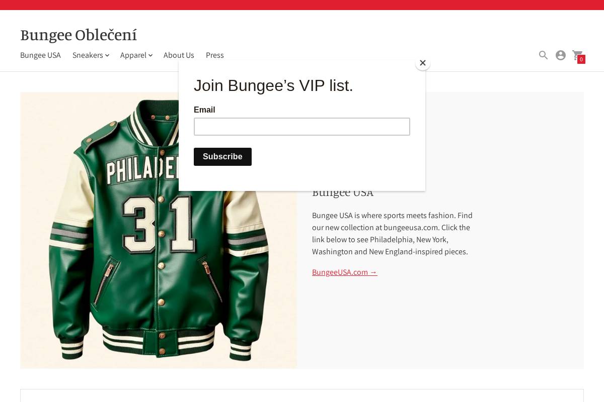 bungeebrand.com homepage screenshot
