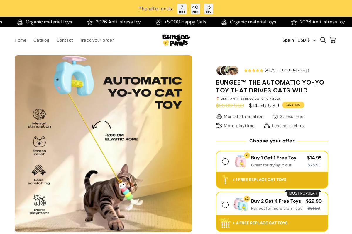 Bungeepaws homepage screenshot