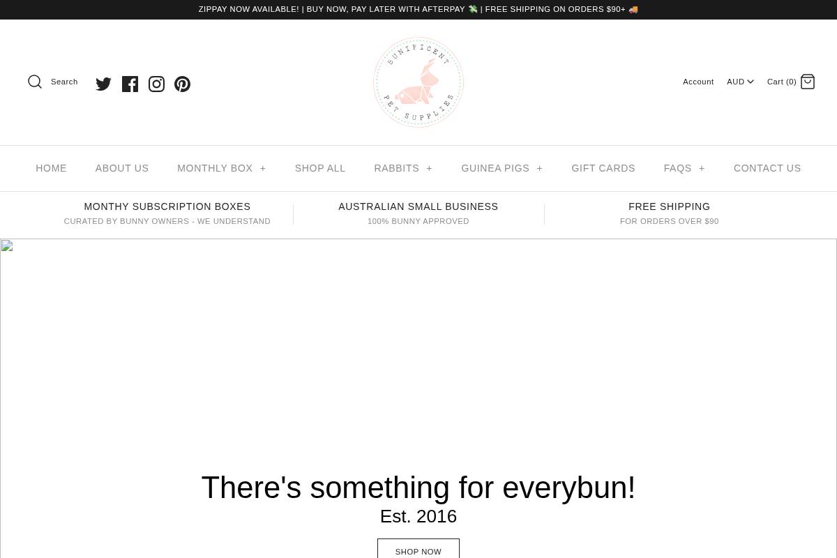 bunificent.com homepage screenshot