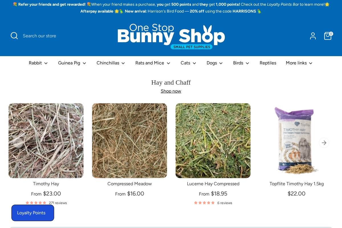 Bunnybusiness homepage screenshot
