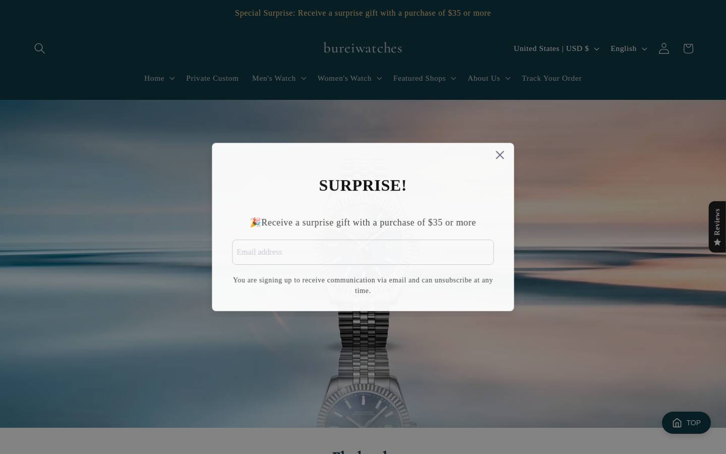 BUREI homepage screenshot