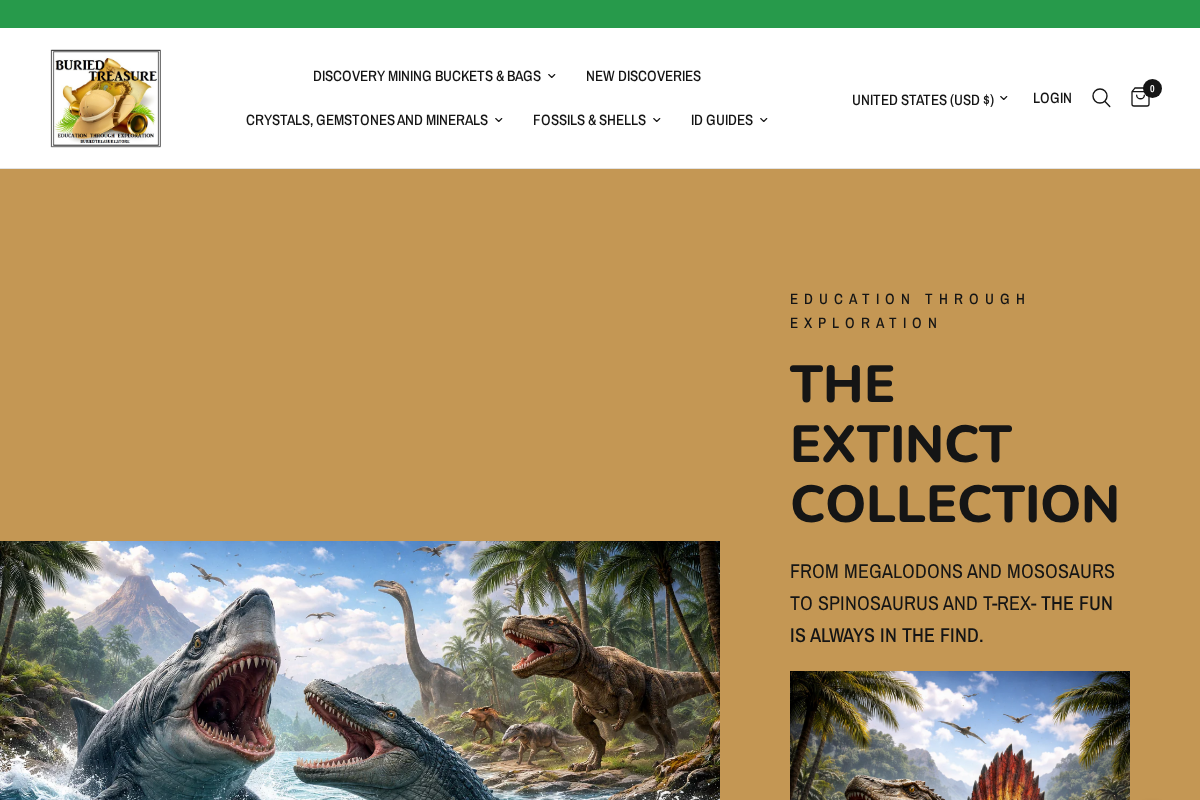 Buried treasure homepage screenshot