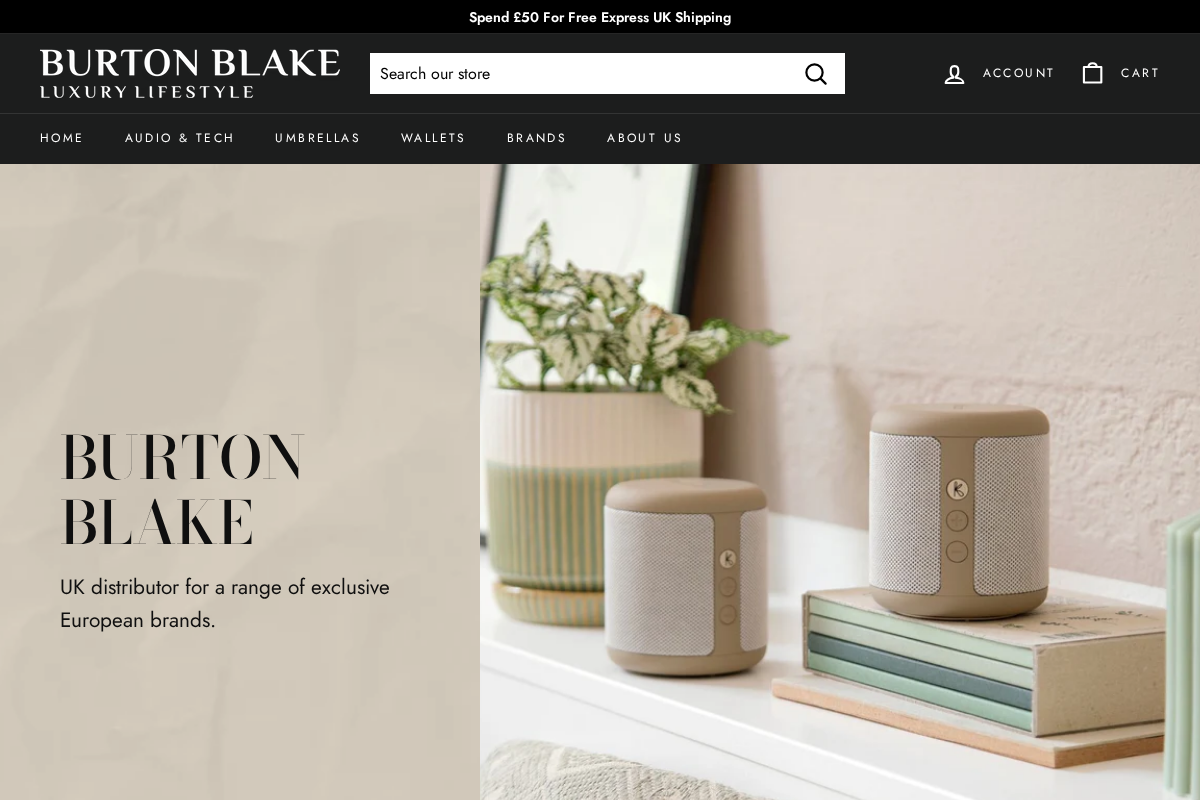 Burton Blake homepage screenshot
