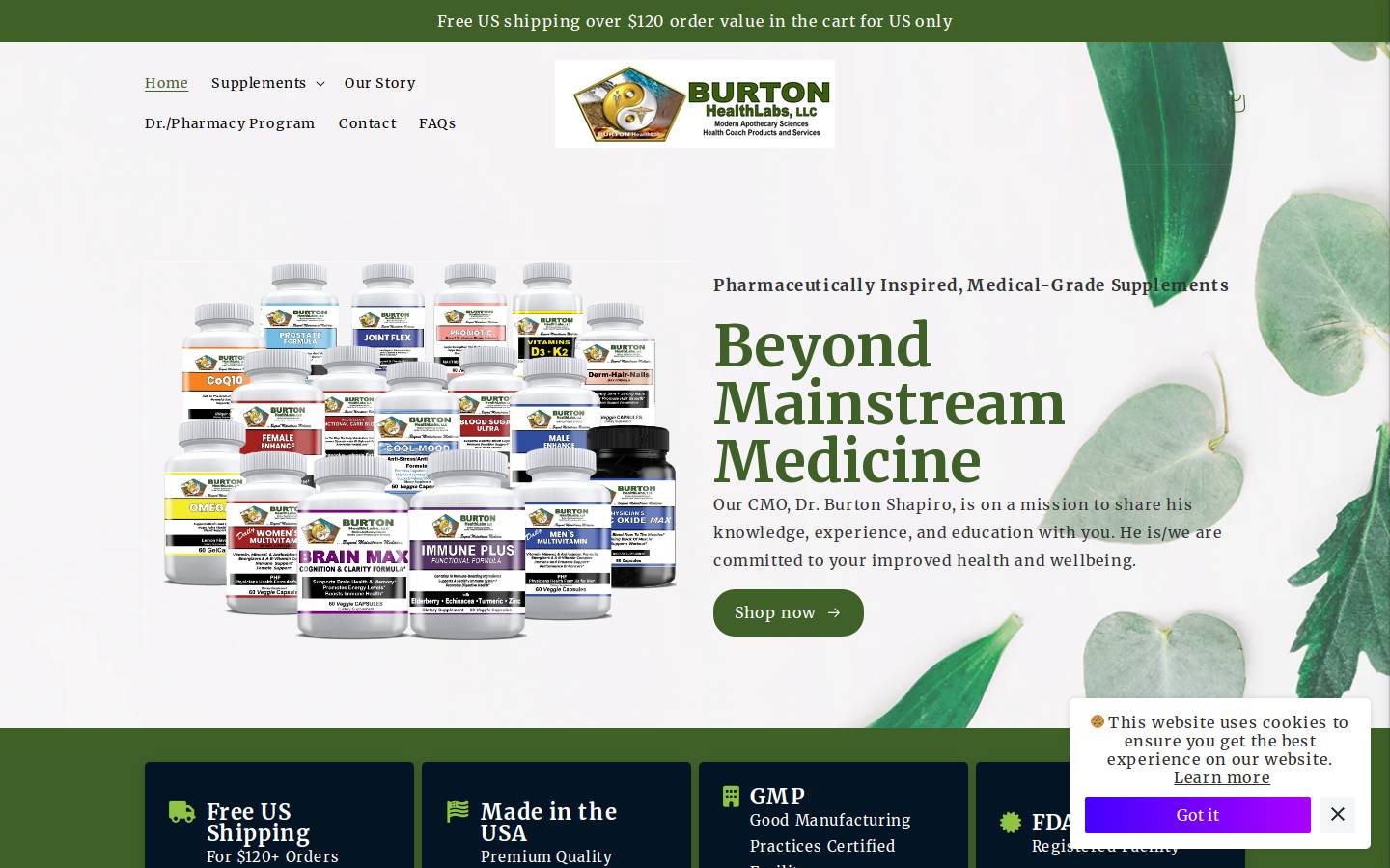 burtonhealthlabs.com homepage screenshot