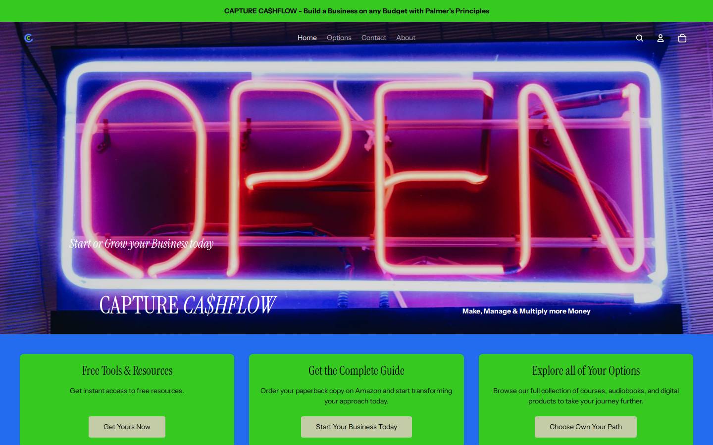 busivisor.com homepage screenshot