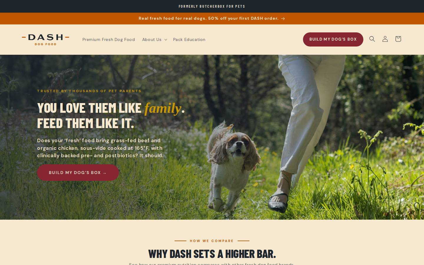 DASH Dog Food homepage screenshot