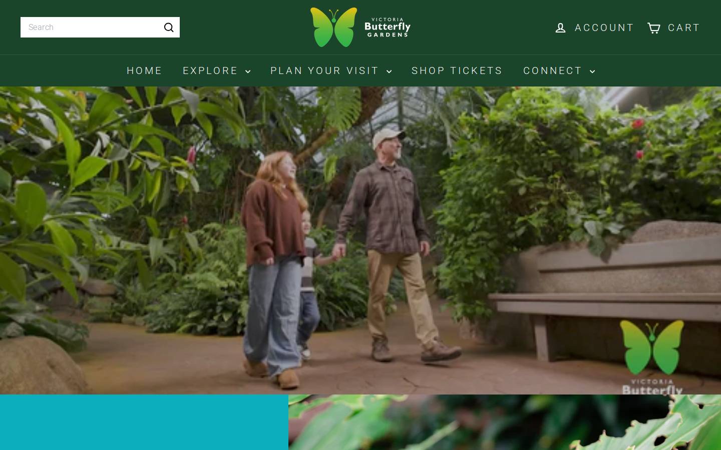 Butterfly World homepage screenshot