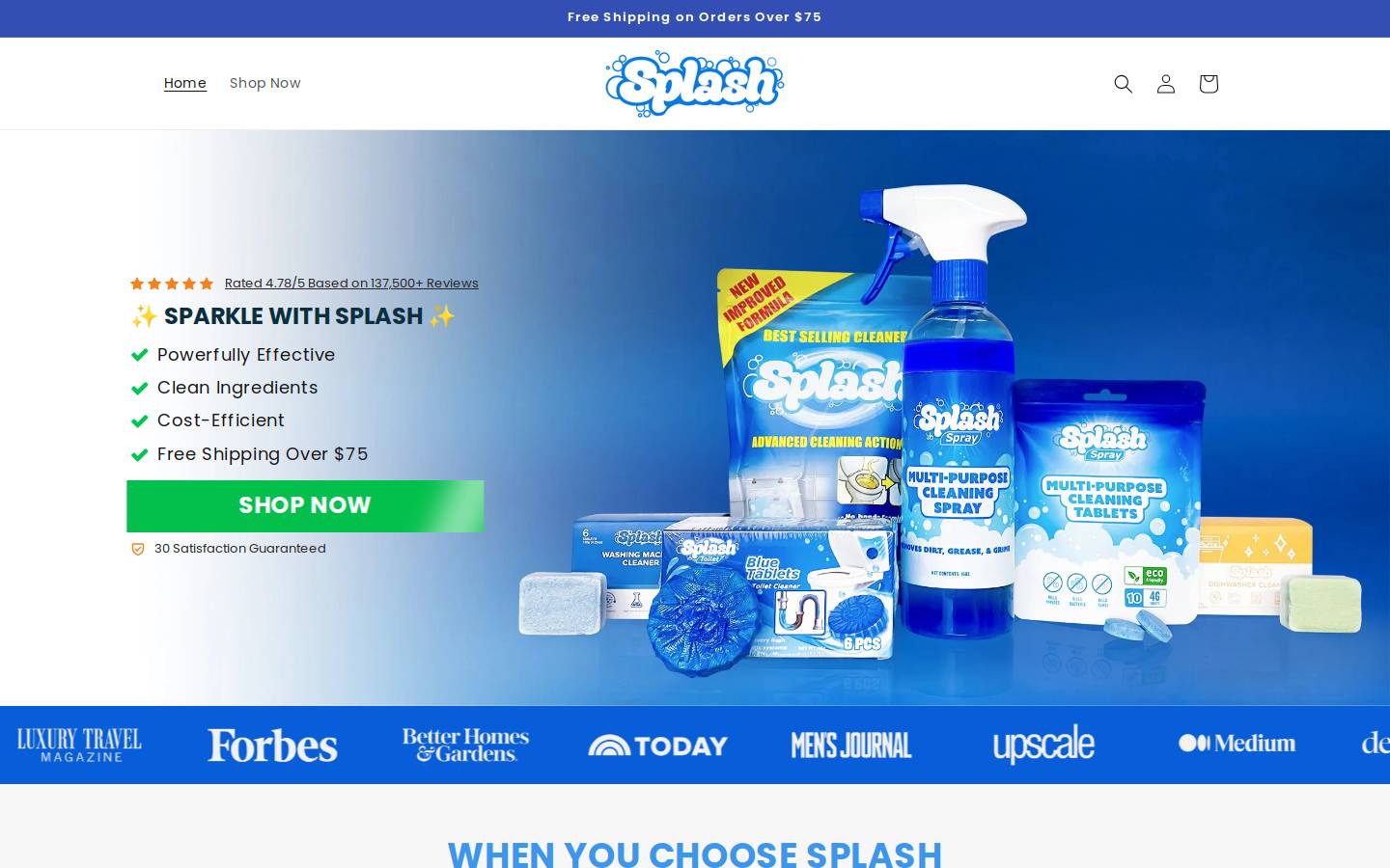 buysplashcleaner.com homepage screenshot