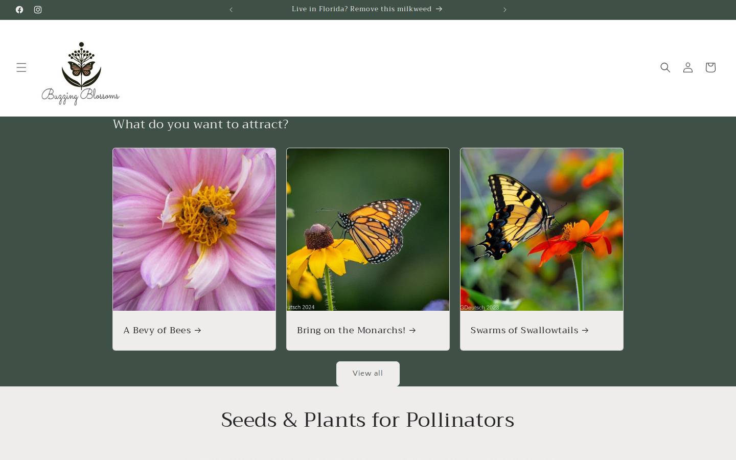 buzzingblossoms.com homepage screenshot