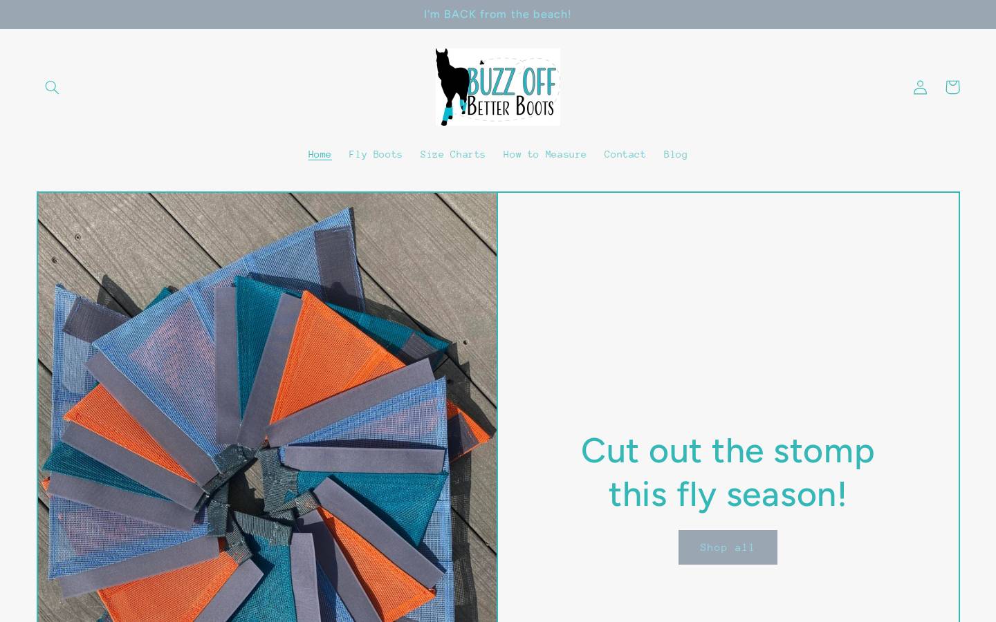 buzzoffbetterboots.com homepage screenshot