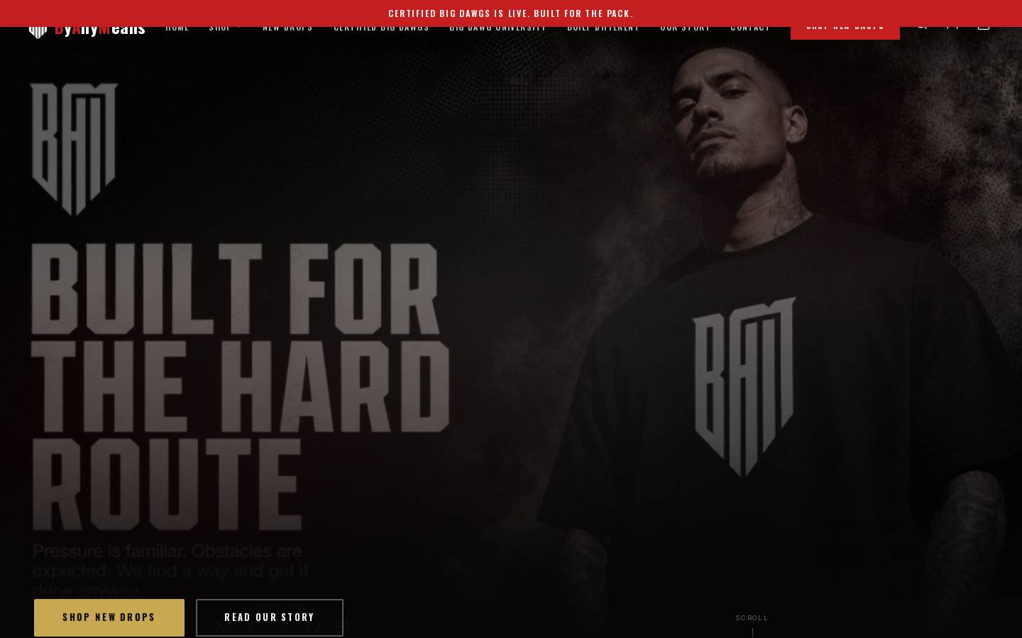 byanymeansshop.com homepage screenshot