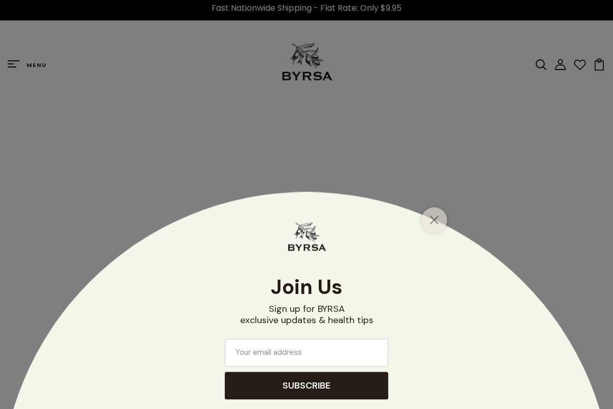 byrsa.us homepage screenshot