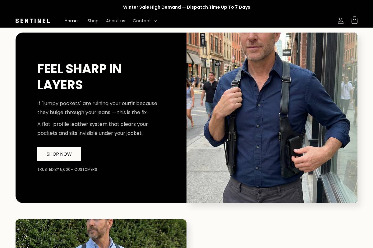 Bysentinel homepage screenshot