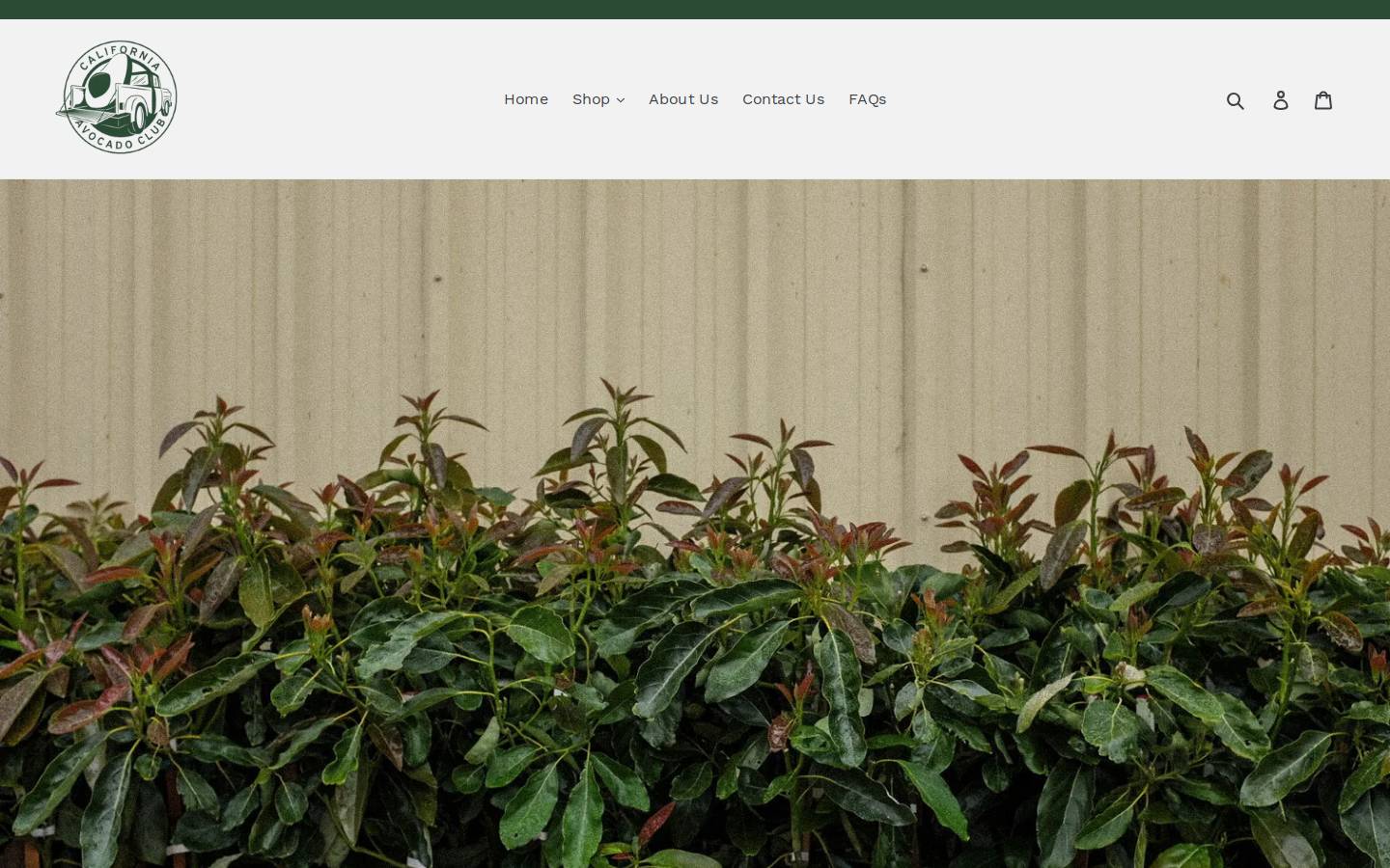 caavocadoclub.com homepage screenshot