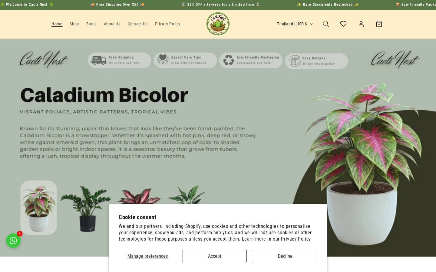 cactinest.com homepage screenshot