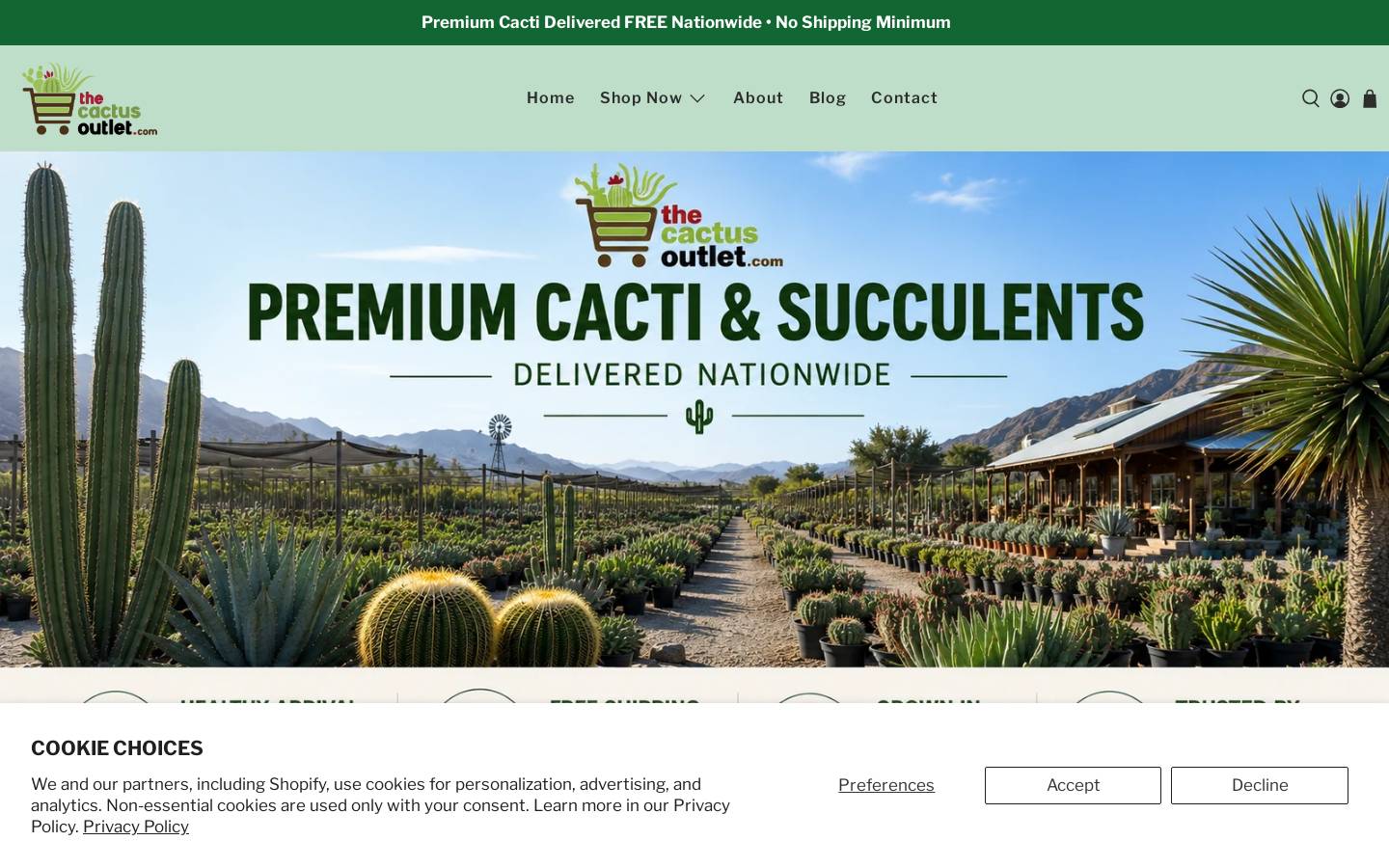 cactusoutlet.com homepage screenshot
