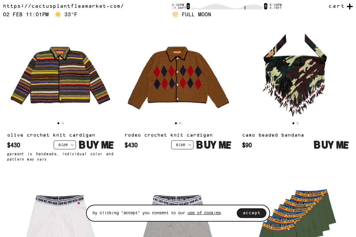 CACTUS PLANT FLEA MARKET homepage screenshot