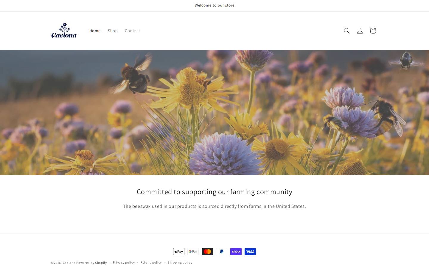 caelona.com homepage screenshot