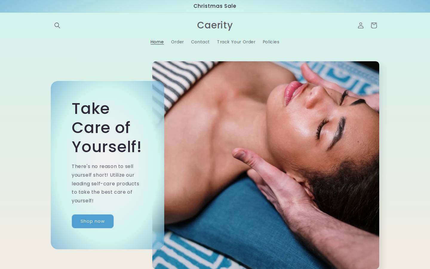 caerity.com homepage screenshot