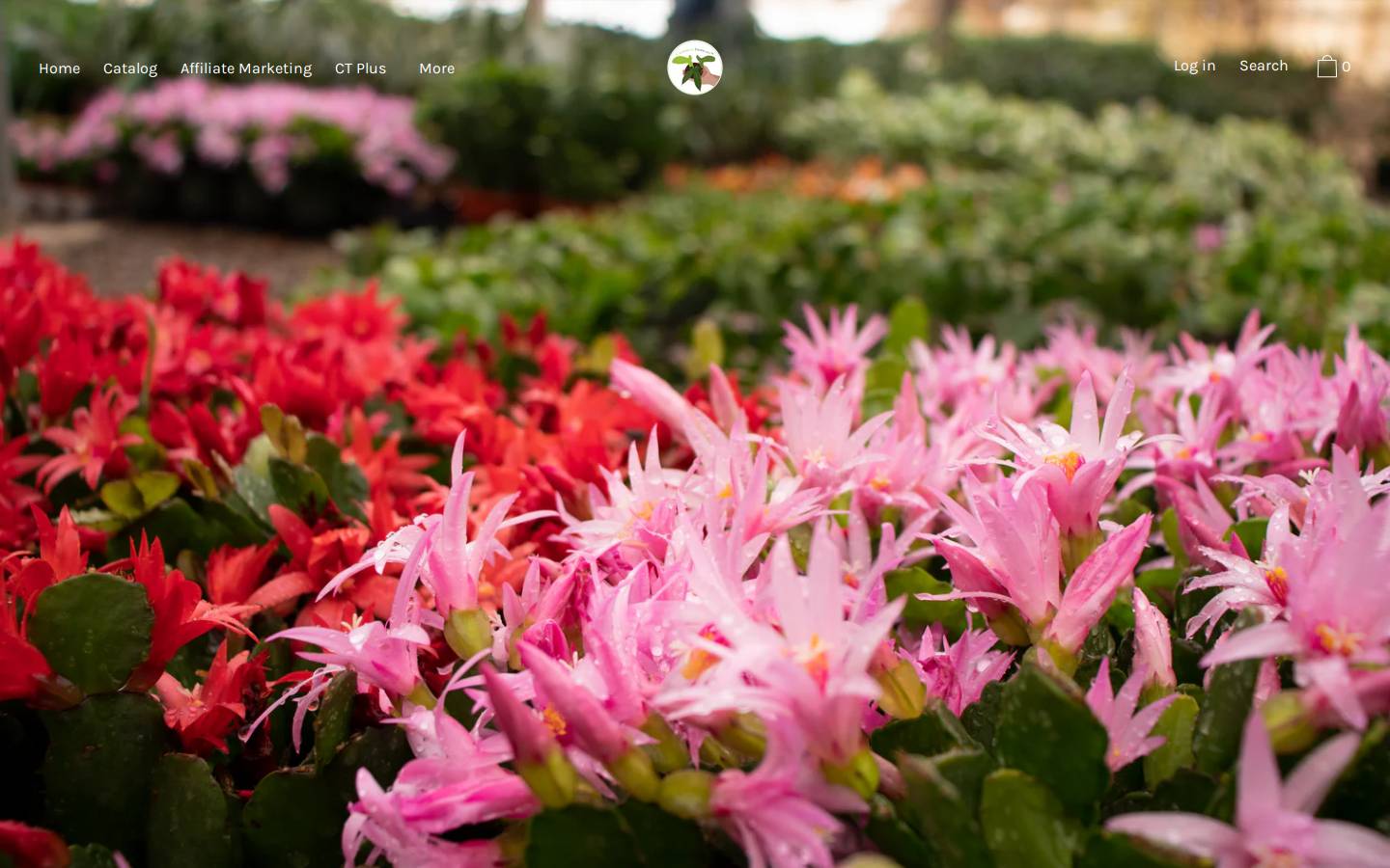california-tropicals.com homepage screenshot