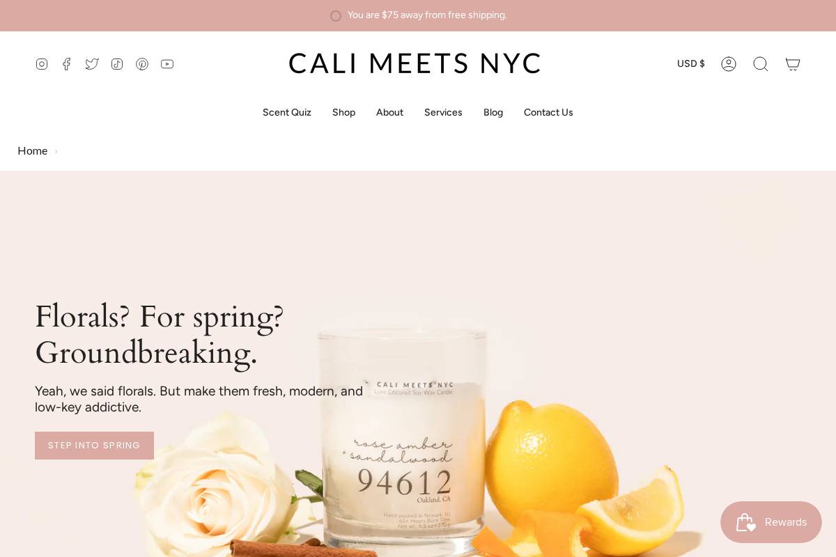calimeetsnyc.co homepage screenshot