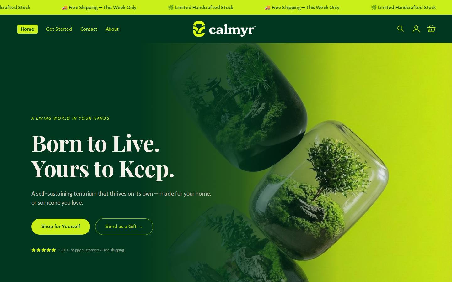 Calmyr homepage screenshot