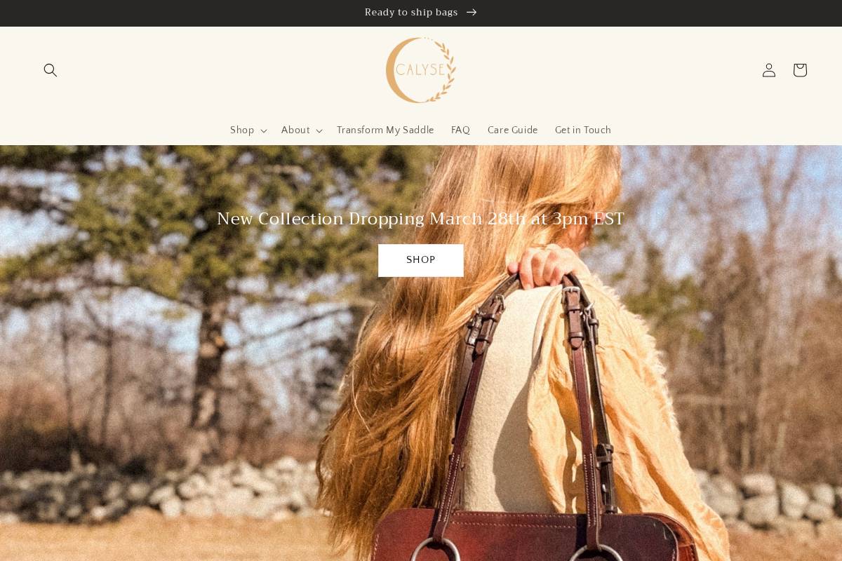 calyse-co.com homepage screenshot