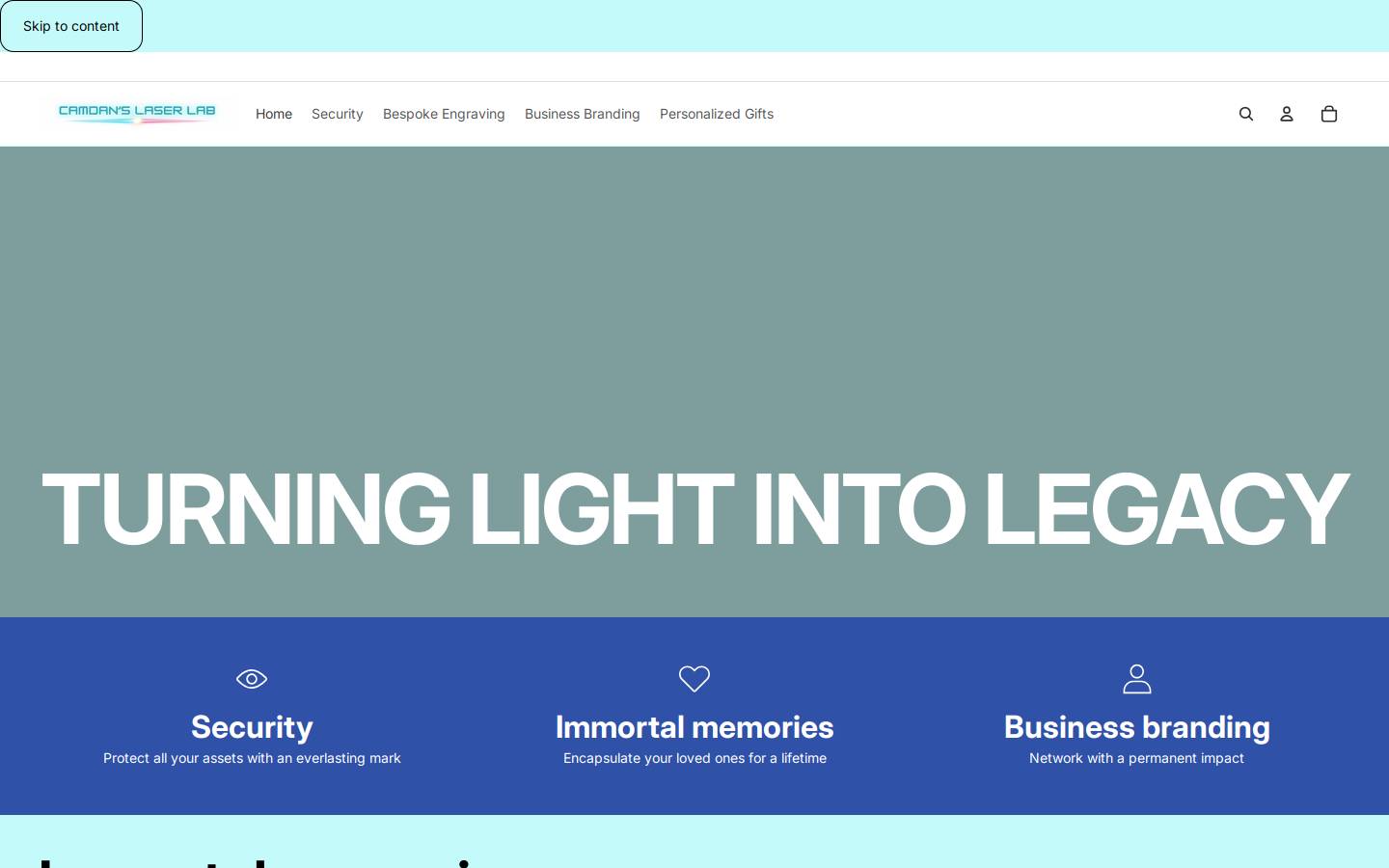 camdanslaserlab.com homepage screenshot