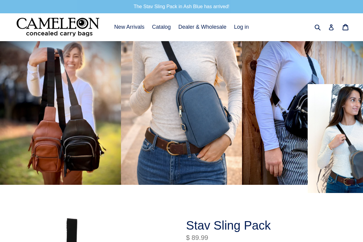 cameleonbags.com homepage screenshot