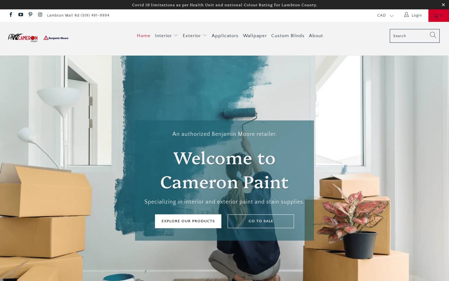 cameronpaint.ca homepage screenshot