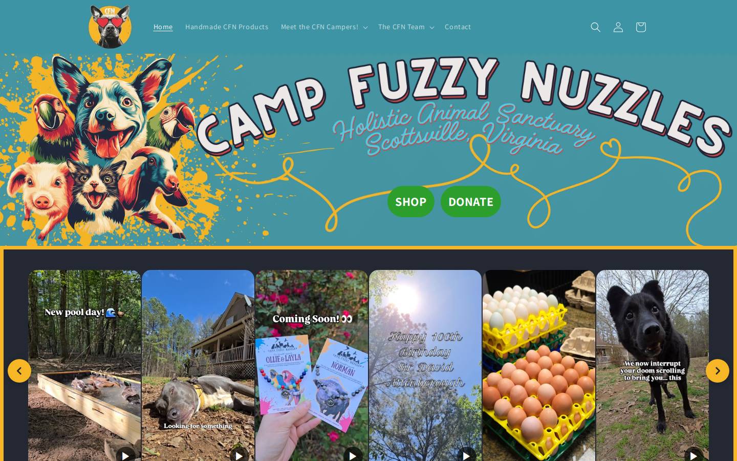 campfuzzynuzzles.com homepage screenshot