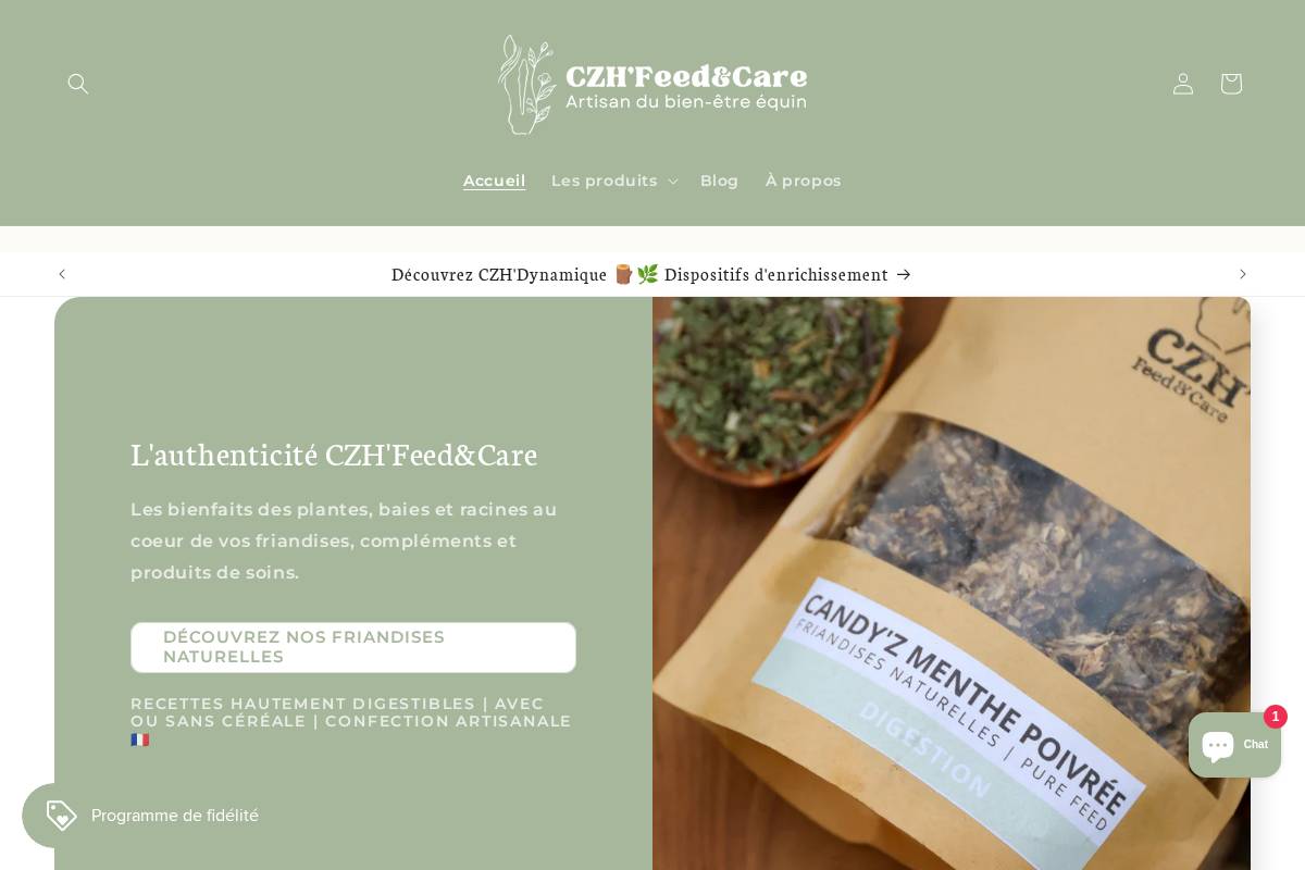 candyzhorse.com homepage screenshot