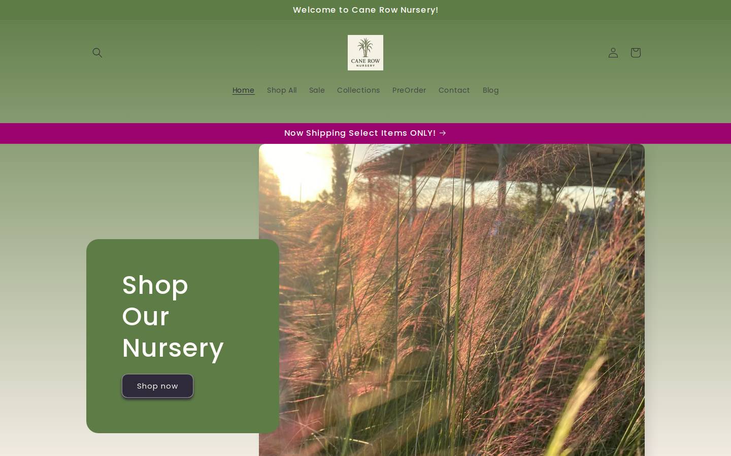canerownursery.org homepage screenshot