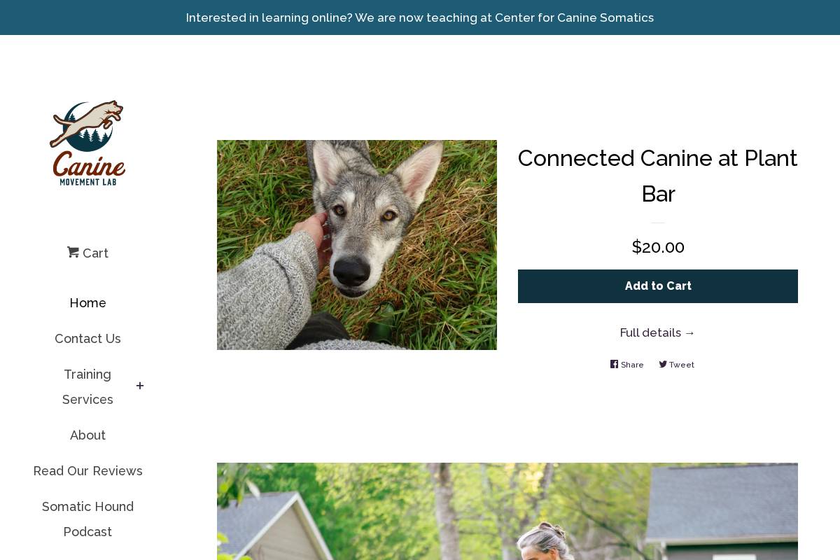 caninemovementlab.com homepage screenshot