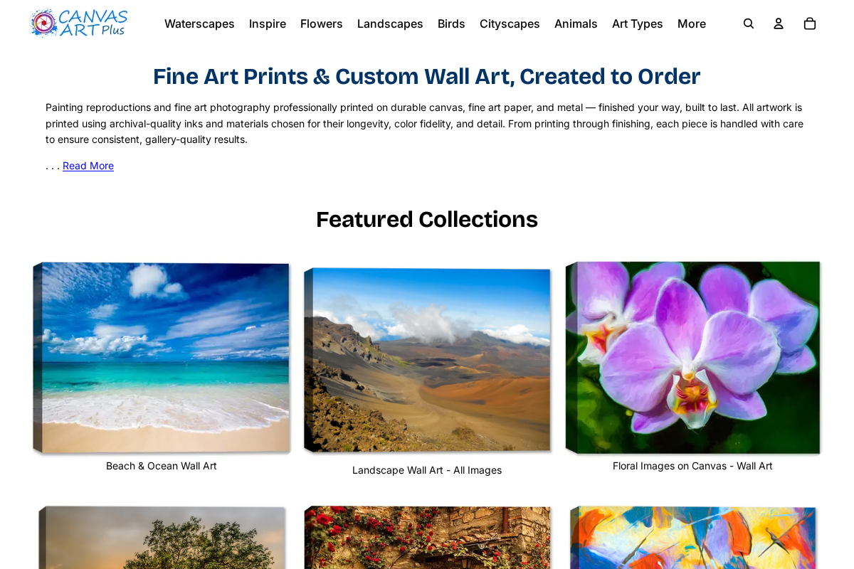 canvasartplus.com homepage screenshot