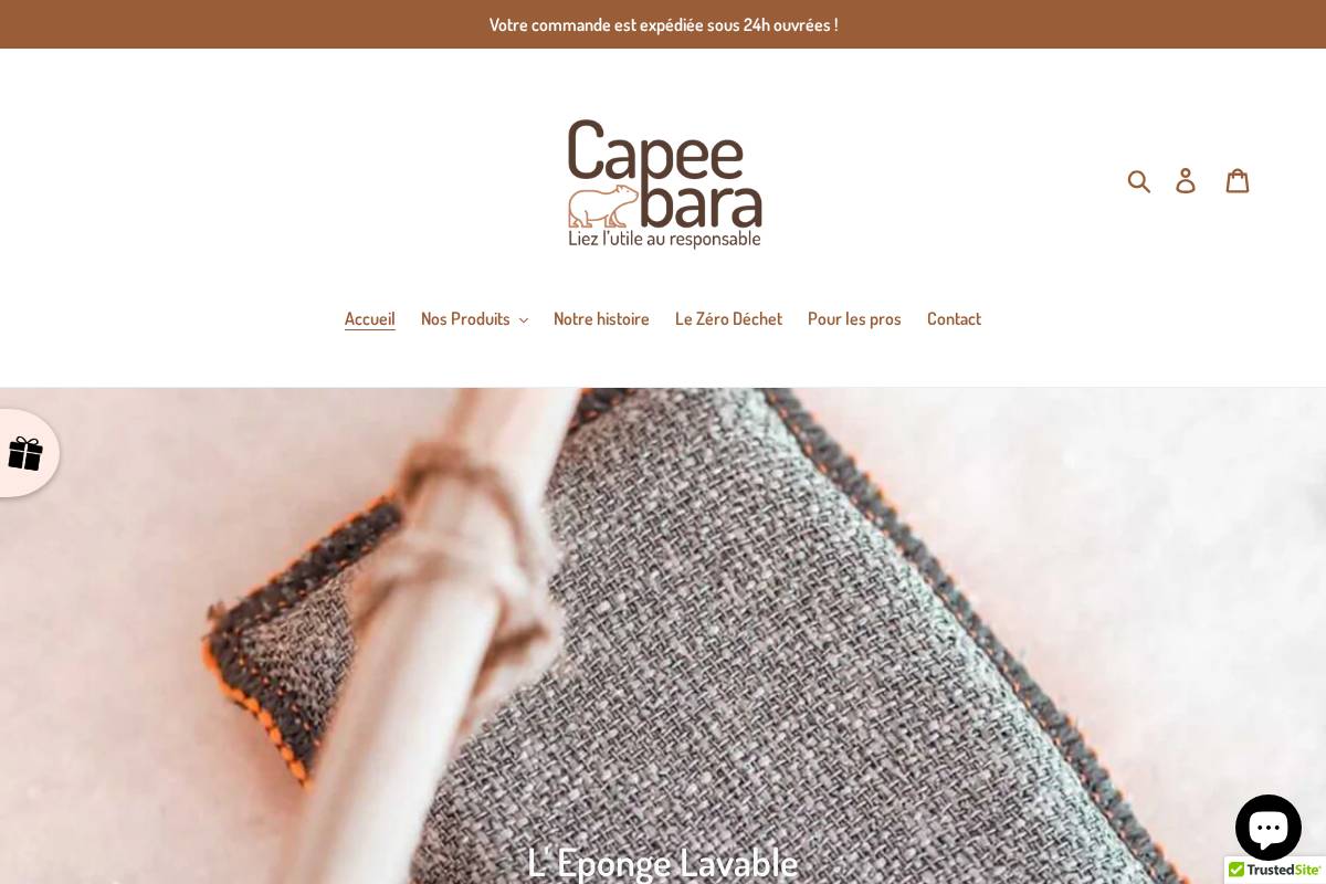 Capeebara homepage screenshot