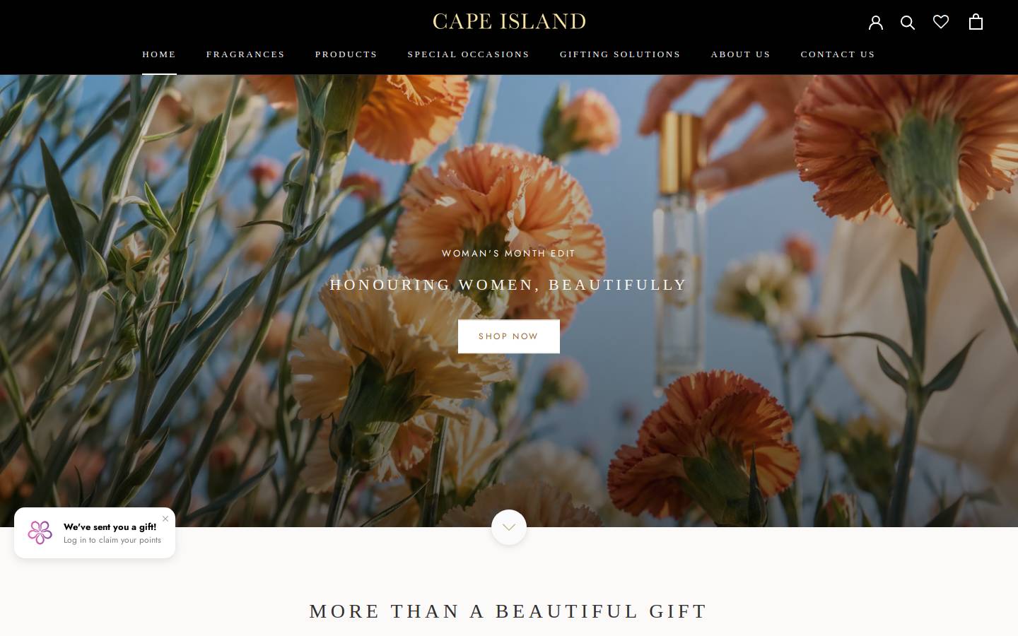 capeisland.co.za homepage screenshot