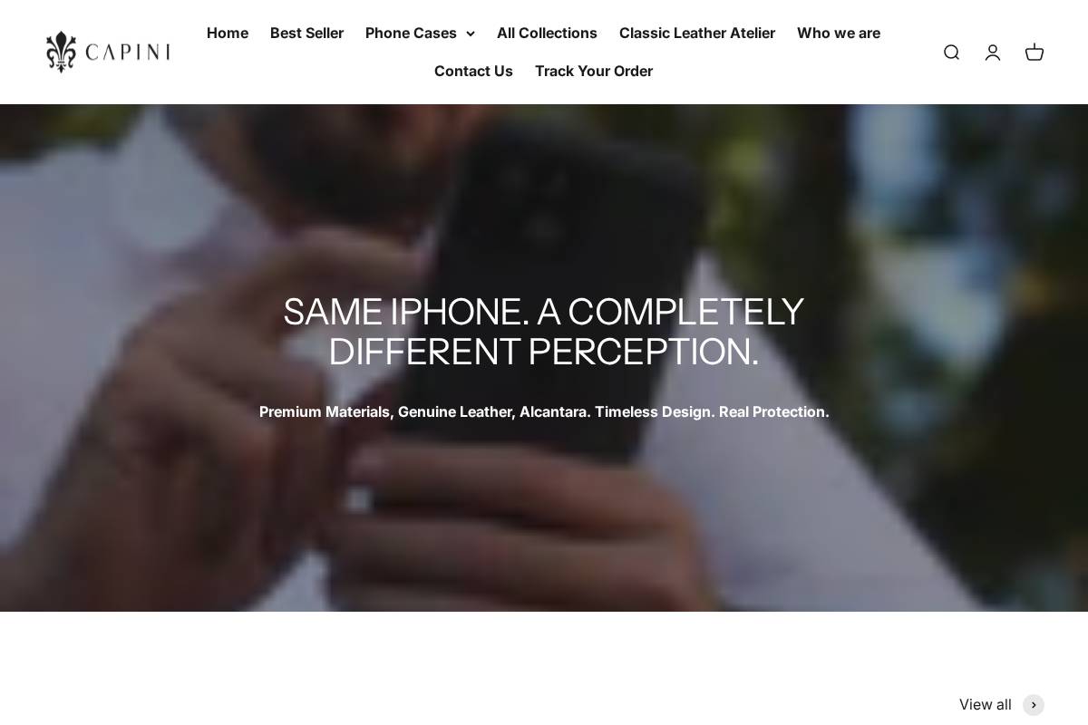 Capinifirenze homepage screenshot