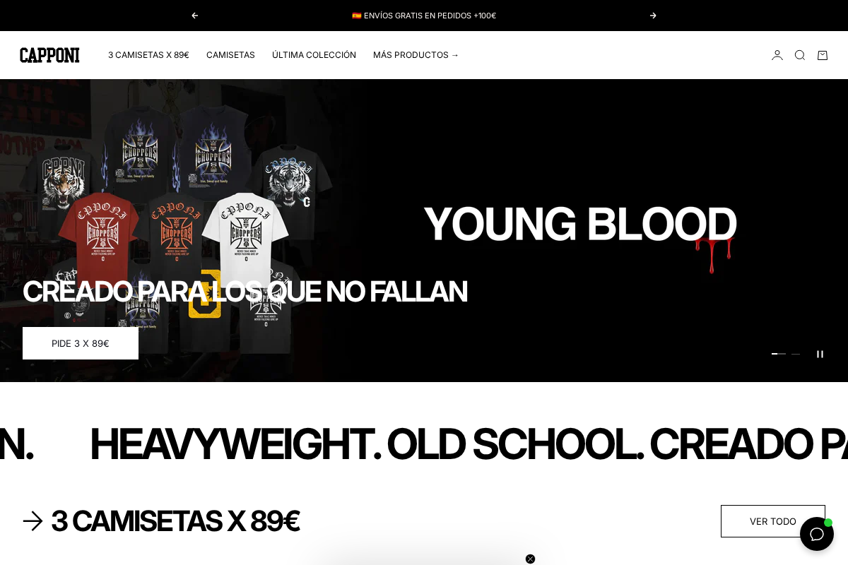 CAPPONI homepage screenshot