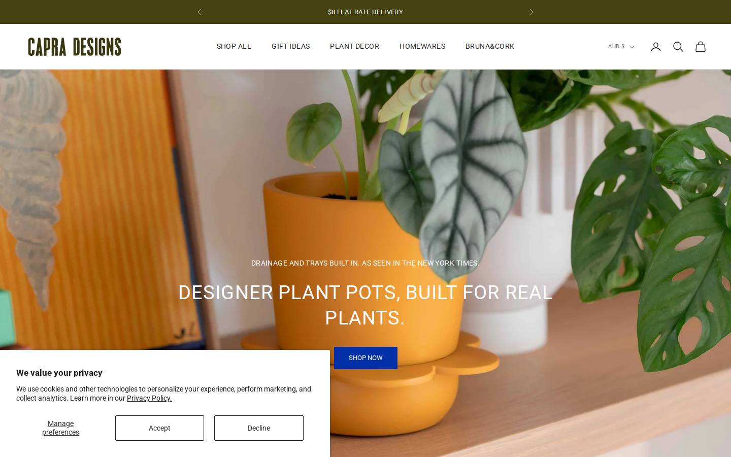 capradesigns.com homepage screenshot