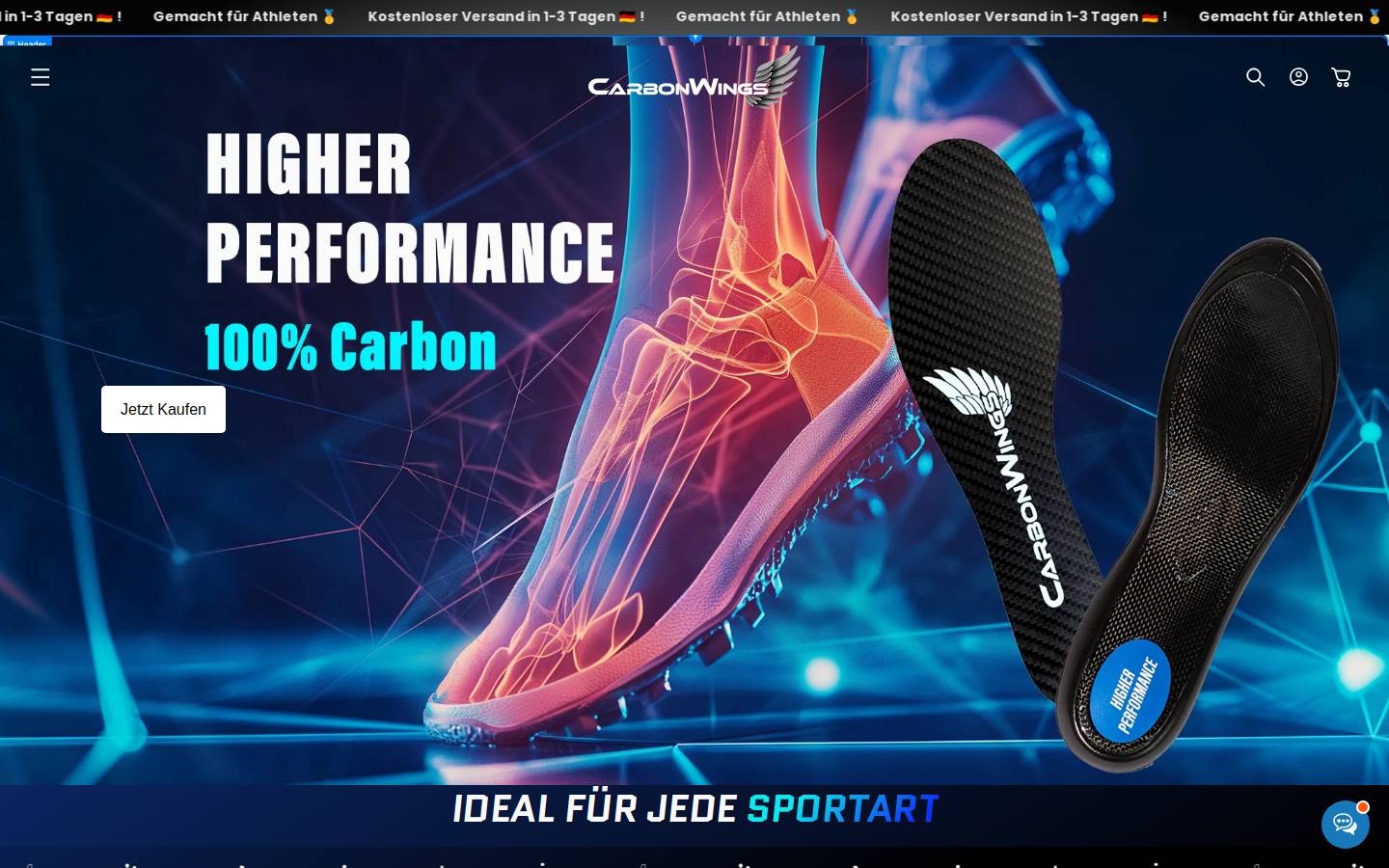 carbonwings.de homepage screenshot