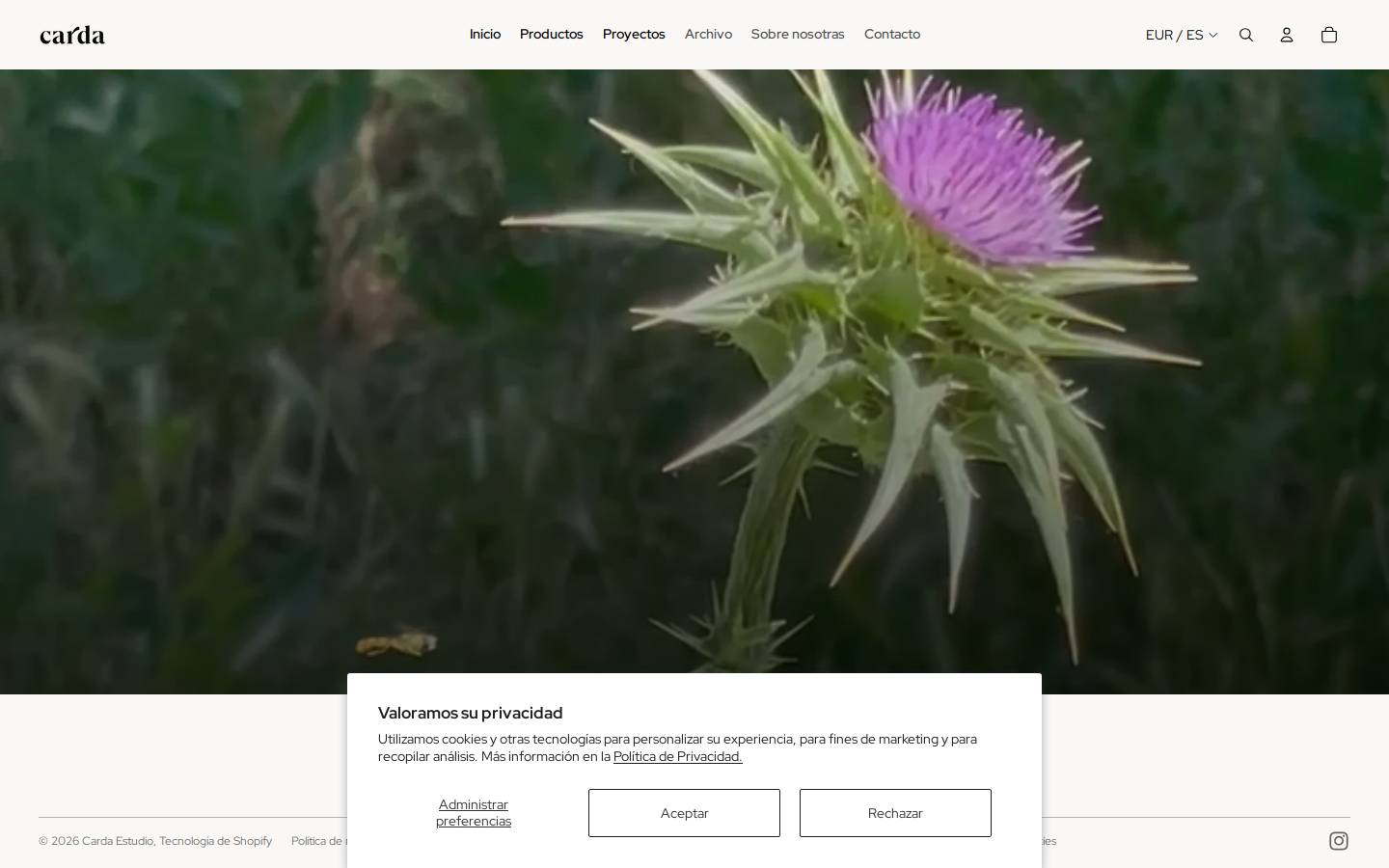 cardaestudio.com homepage screenshot